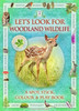 Let'S Look For Woodland Wildlife
