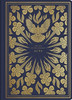 ESV Illuminated Scripture Journal: Acts (Paperback)