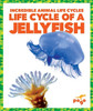 Life Cycle Of A Jellyfish