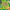The Snot That Animals Have Got - 9781526317100