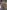 World of Warcraft: Dark Riders: Blizzard Legends