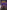 World of Warcraft: Night of the Dragon: Blizzard Legends