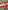 San Francisco 49Ers All-Time Greats - 9781634943826
