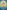 Dhanwantari: A Complete Guide to the Ayurvedic Life