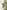 The Mind of Plants: Narratives of Vegetal Intelligence