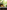 Cannery Row - 9780140187373