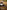 Vodun: Secrecy and the Search for Divine Power