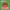 Hey Duggee: Duggee's Christmas