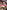 School-Live!, Vol. 3