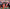 Enter the Jungle: Photographs and History of the Cincinnati Bengals