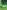 Divining Thread