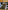 Yucky Food: Set 4