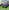 Cluck: A Book of Happiness for Chicken Lovers
