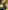 Van Eyck: Masters of Art