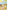 The Secret Explorers and the Desert Disappearance
