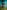 A Light in the Forest: A Novel