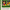 A Tulip in Winter: A Story About Maud Lewis