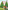Three Clues: Phase 5