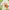 Jonny Lambert’s Bear and Bird: Find a Footprint: A Woodland Search and Find Adventure