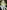 A Certain Magical Index, Vol. 22 (light novel)