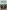 Stuarts' Field Guide to National Parks & Game Reserves  – Namibia, Botswana, Zimbabwe, Zambia & Malawi: Struik Nature Field Guides