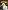 LEGO Man in Space : A True Story