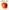 Fruit: Selections from the USDA Pomological Watercolor Collection