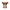 Binky Bush Baby Boo Reg
