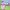 Peppa Pig: Peppa's Clubhouse Adventure