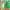 Unicorn's Christmas : Turn the Wheels for Some Holiday Fun!