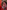 Gilles Villeneuve: The Life of the Legendary Racing Driver