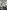 The Battle of the Reichswald: Rhineland February 1945