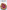 Crusts: The Revised Edition: The Ultimate Baker's Book Revised Edition