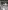 Peugeot Classic Bicycles 1945 to 1985