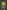 The Lost Rainforest #1: Mez's Magic