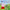 Peppa Pig: Peppa's Tiny Creatures: A touch-and-feel playbook