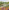 RHS Garden Bridgewater: The Making of a Garden