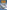 South Pacific Air War Volume 3 : Coral Sea & Aftermath May - June 1942