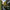 Brackenridge Park: San Antonio's Acclaimed Urban Park