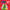 Cheeky Pandas: The Best Present Ever: A Story about Christmas