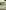 Anthropology of Nothing in Particular, An