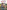 The Countryman : Through the Seasons The Countryman : Through the Seasons