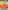 MY FIRST 1001 WORDS: From Aardvark to Zero and all the words in between