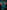 Holly