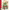 Brown Bear Wood: Christmas is Coming to Town!: A Fold-Out Christmas Village and Advent Calendar!