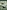 Spitfire: The Iconic Fighter in Unique Photographs