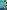 The Effective Change Manager