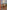 The Lucayan Taino: First People of the Bahamas