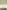 Bound in Twine: The History and Ecology of the Henequen-Wheat Complex for Mexico and the American and Canadian Plains, 1880-1950