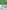 After the Accident - Chinese Breeze Graded Reader, Level 2: 500 Word Level